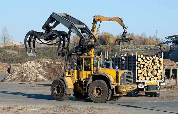 Unloading of Logging Truck