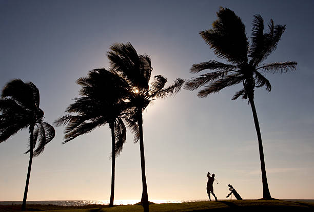 golfista senior en el trópico - golf action silhouette balance fotografías e imágenes de stock