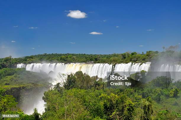 Photo libre de droit de Chutes Diguazu banque d'images et plus d'images libres de droit de Amérique du Sud - Amérique du Sud, Arbre, Arbre tropical