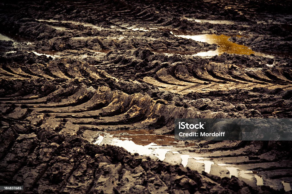 Tire pistas en muddy road - Foto de stock de Agrietado libre de derechos