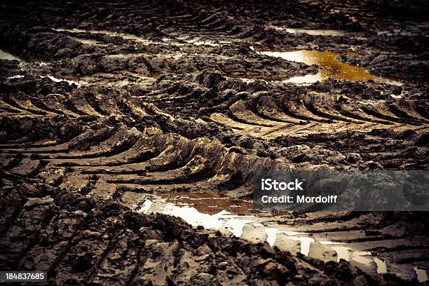 Tire Pistas En Muddy Road Foto de stock y más banco de imágenes de Agrietado - Agrietado, Agua, Aire libre