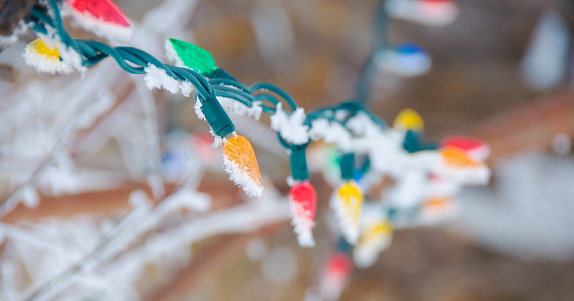 Some outdoor LED Christmas lights with sunlight and frost.