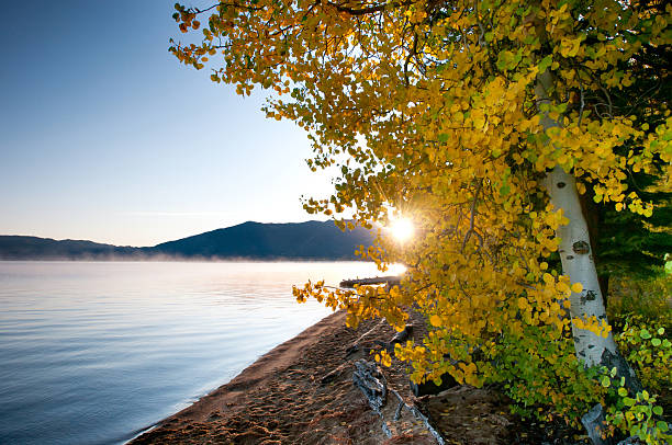 Lake Tahoe otoño Color - foto de stock