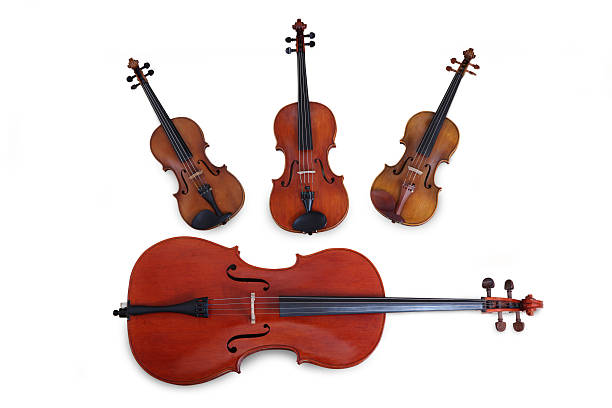 quarteto de cordas - violin family imagens e fotografias de stock