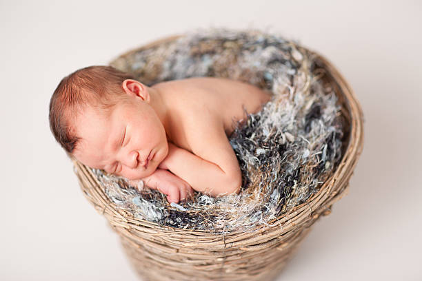 istock Newborn Baby Sleeping Peacefully in Basket with Fuzzy Texture Blanket 184838954