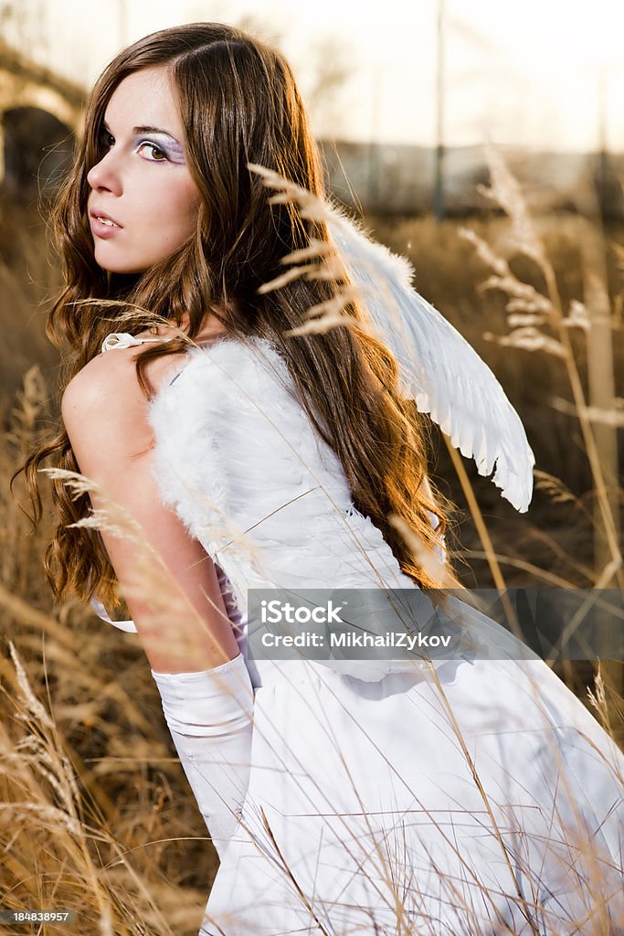 Angel girl in  field Angel girl in a field Adult Stock Photo