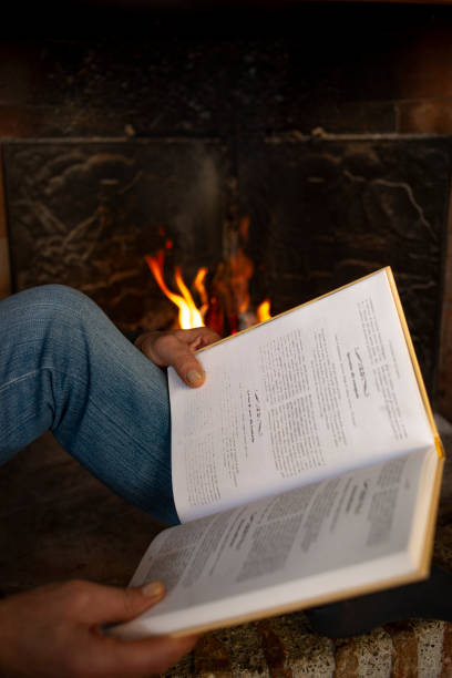 istock Read books in front of the fire 1848389622