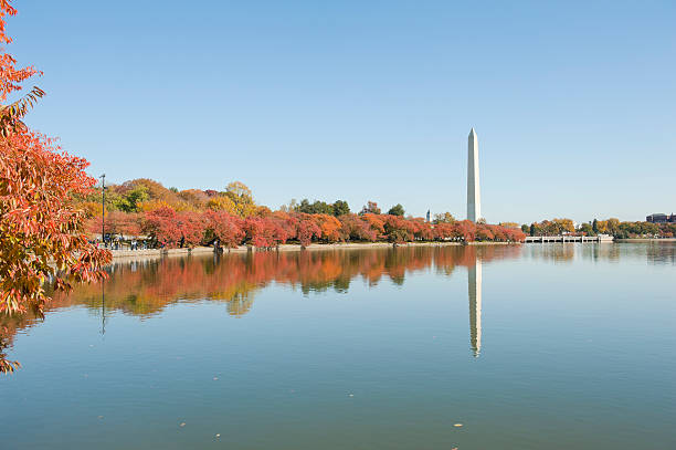 istock Washington monument at the mall, in DC with colorful tree 184839031