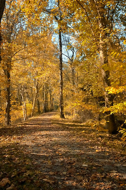 istock C&O Canal Path In Morning Sun 184839689