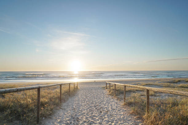 istock Sunrise at the beach 1848399322