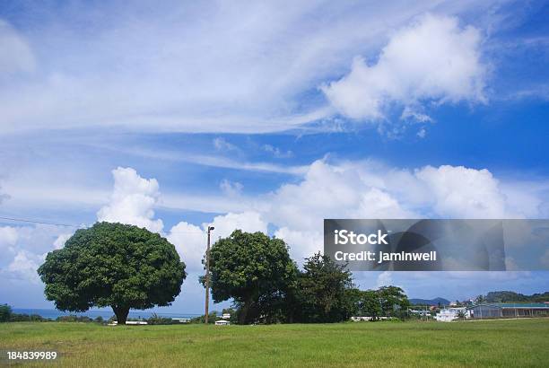 Paisagem De Campo Verde E Céu Azul Panorama Residencial - Fotografias de stock e mais imagens de Ajardinado
