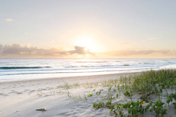 istock Sunrise at the beach 1848405967