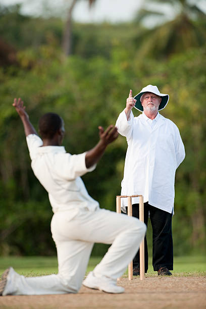 de críquete - sport of cricket cricket player cricket field bowler - fotografias e filmes do acervo