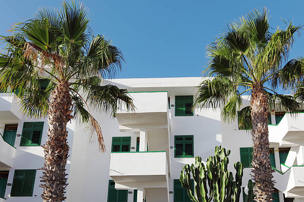 istock white apartment hotel and two palm trees against blue sky 184840683