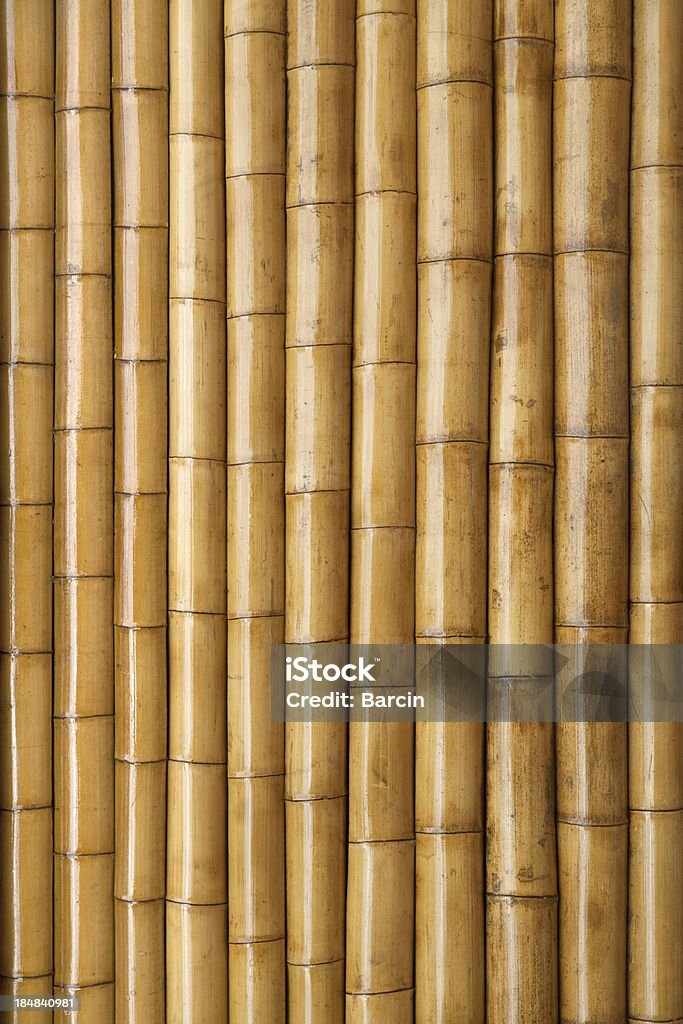 Bamboo background - Royalty-free Bamboe - Grassenfamilie Stockfoto