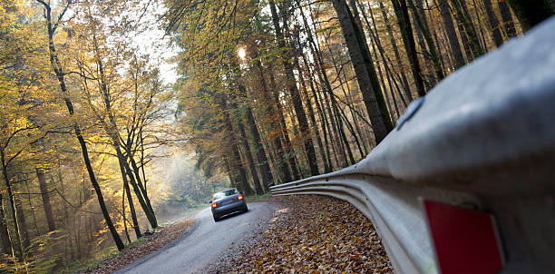istock Way home through the forest in autumn 184842358