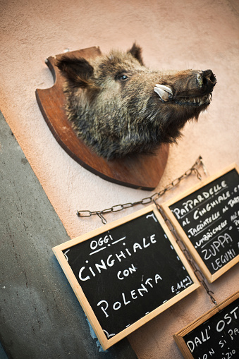 Head of wild boar advertising italian restaurant serving dishes made with wild boar meat (cinghiale).