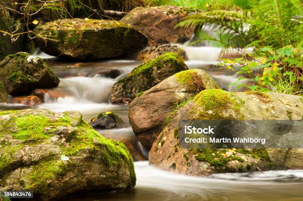 Foto de Brook E Pedras e mais fotos de stock de Arcaico - Arcaico, Beleza natural - Natureza, Bosque - Floresta
