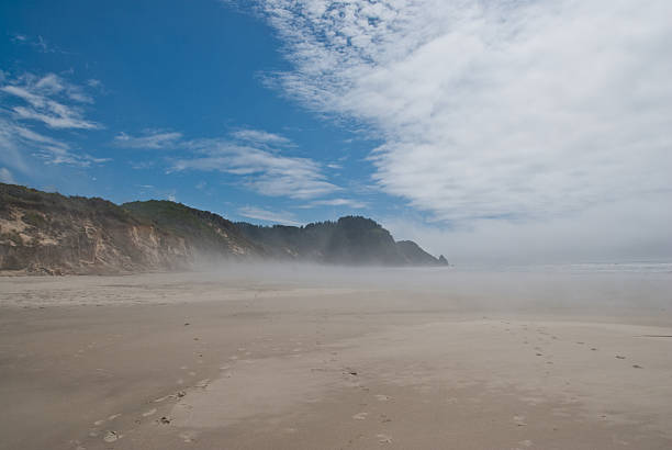 Heceta Head in the Fog The landscapes and seascapes of the Pacific Coast are a constant source of inspiration for photographers. This picture of Heceta Head in the fog was photographed from Heceta Beach at Carl G. Washburne Memorial State Park near Florence, Oregon, USA. jeff goulden oregon coast stock pictures, royalty-free photos & images