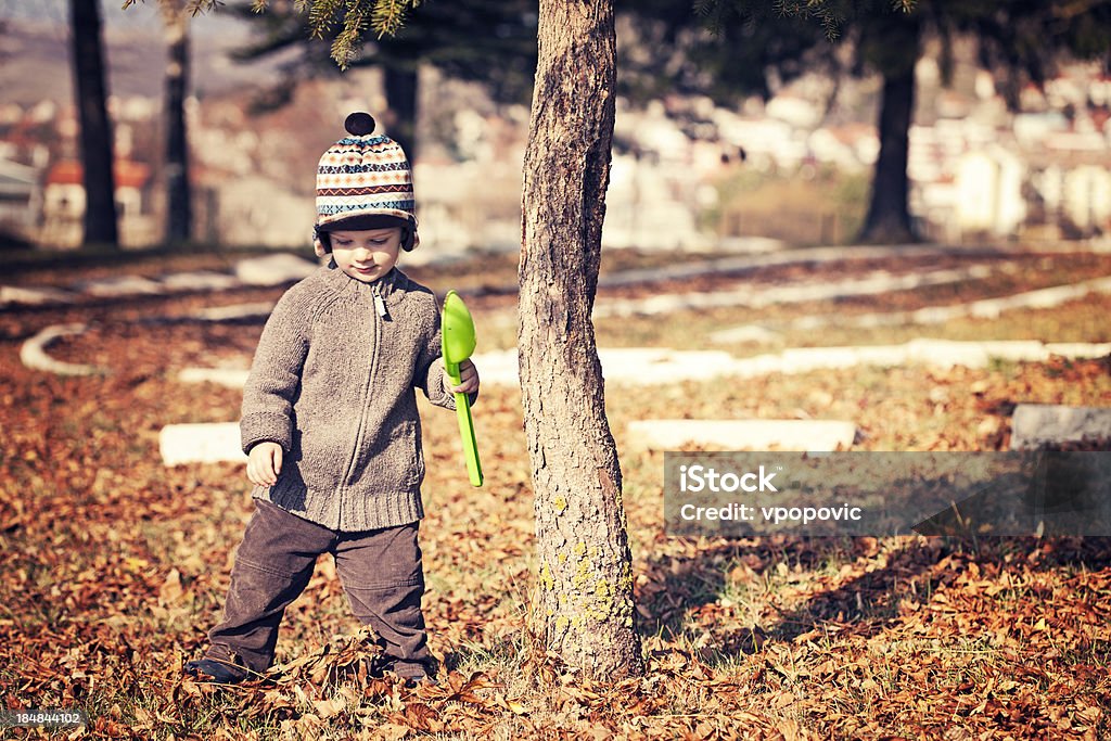 Walking around the park Little boy standing near the tree and looking leaves on the ground in beautiful autumn park. Shallow dof. Child Stock Photo