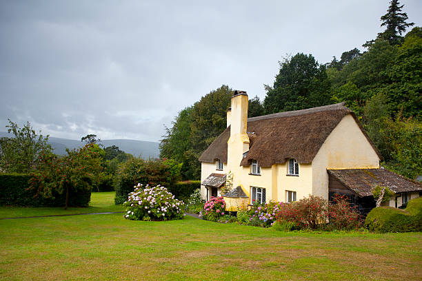 English Thatched Cottage "A picturesque thatched cottage in the village of Selworthy, Somerset, in Exmoor National Park.  In the background are the hills of Exmoor.  The shot was taken on a cloudy late summer day." thatched roof stock pictures, royalty-free photos & images