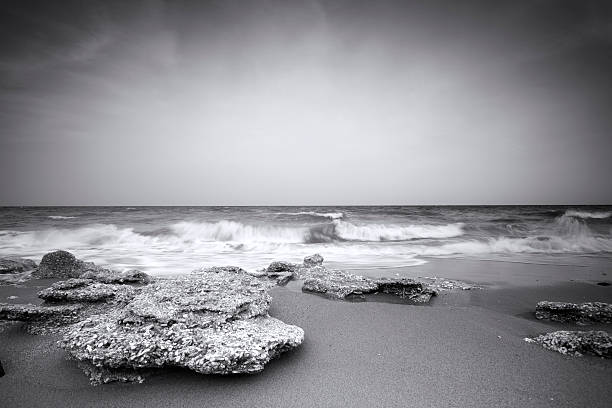 istock Coral reefs on the beach 184844363