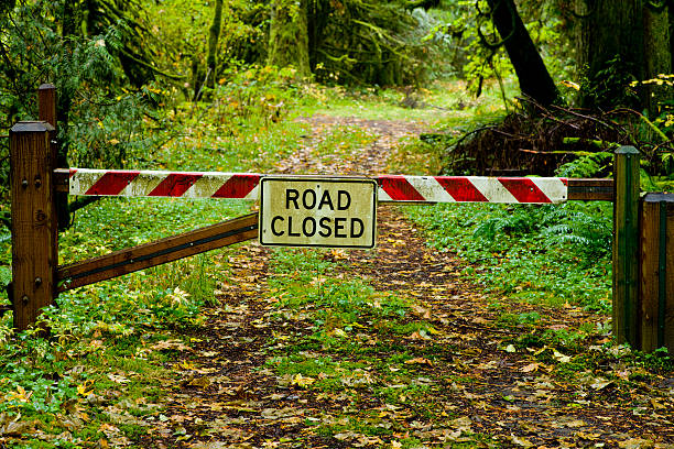 Road Closed Sign in the Forest stock photo