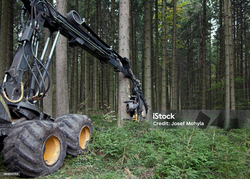 木材産業の収穫 - 丸のこのロイヤリティフリーストックフォト