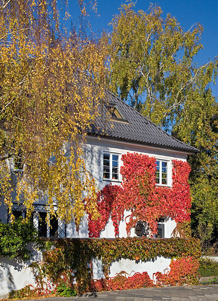 istock Residential House in Dusseldorf, Germany 184845079