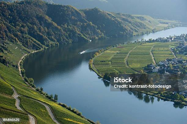 Mosel Valley At Piesport Germany Stock Photo - Download Image Now - Color Image, Day, Dew