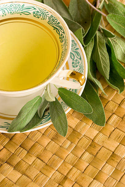 Sage tea stock photo