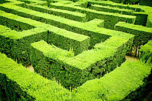 abstract shot of a maze