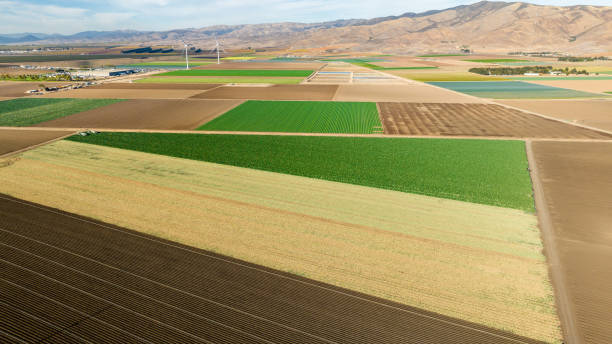 istock Agriculture Farming in California 1848464310