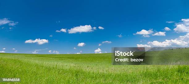 Foto de Vista Para O Paisagismo e mais fotos de stock de Ajardinado - Ajardinado, Amarelo, Azul