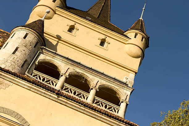 istock Vajdahunyad Castle in Budapest City Park 184846644