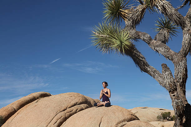 istock Yoga in nature 184846716