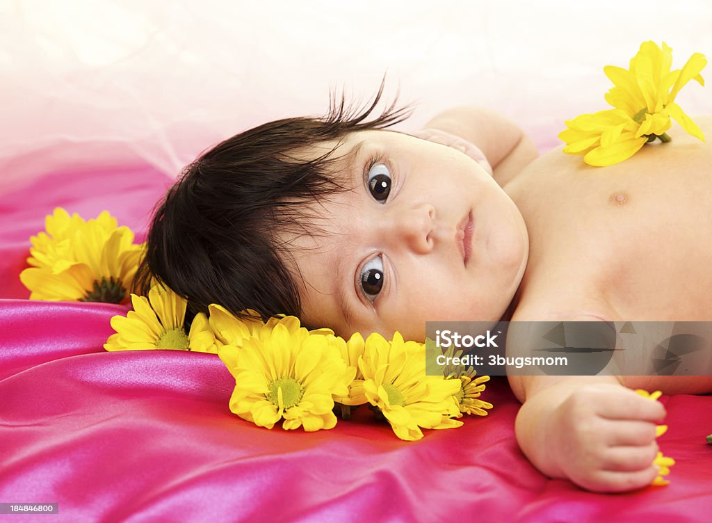 Sweet Baby Girl with Big Brown Eyes and Flowers A beautiful two month old baby girl laying down on a hot pink silk sheet with yellow flowers.  She is very calm and is looking just beyond the camera with her big brown eyes.  Behind her there is light pink tulle fabric. 0-1 Months Stock Photo