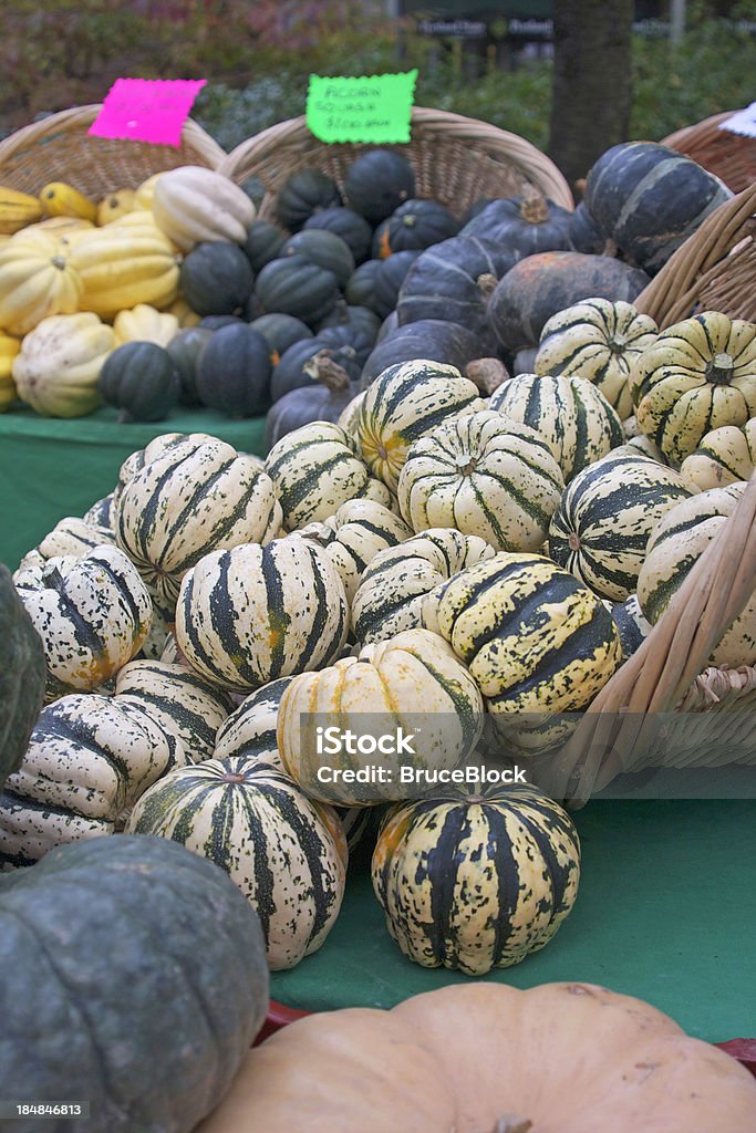 Winterkürbis - Lizenzfrei Acorn-Kürbis Stock-Foto