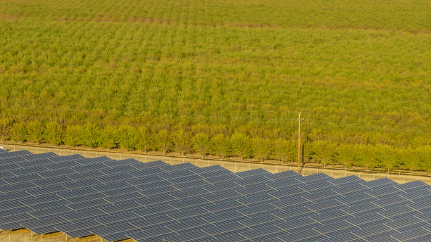 istock California Agrisolar Farming 1848471045