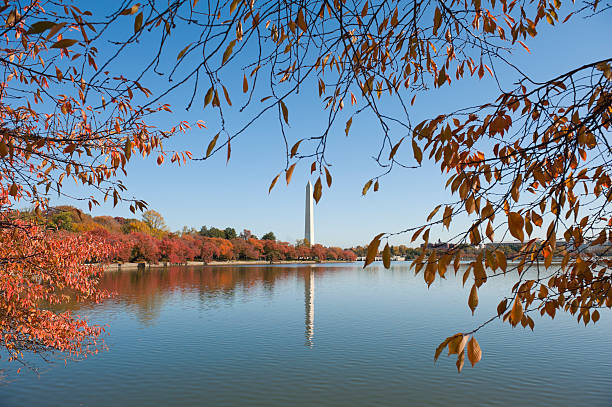 istock Washington monument at the mall, in DC with colorful tree 184847170