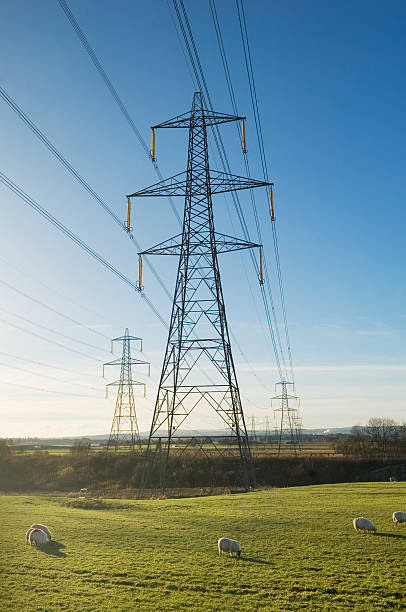 Electricity pylons across famland stock photo