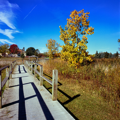 Wheelling suburb in autumn.Illinois USA.