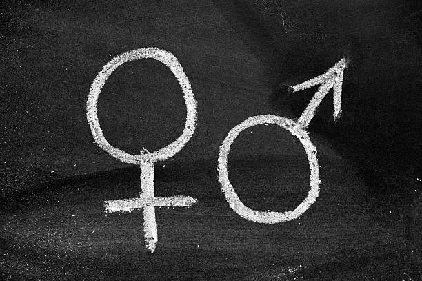 male and female gender symbols on blackboard  gender symbol stock pictures, royalty-free photos & images
