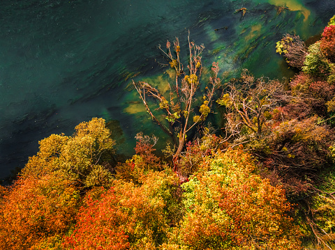 Autumn forest and river Brda. Aerial view of wildlife. Nature in Poland, Europe.