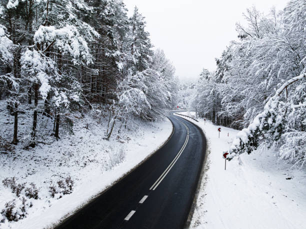 istock Amazing winter forest with rime and snow divided by road. 1848485843