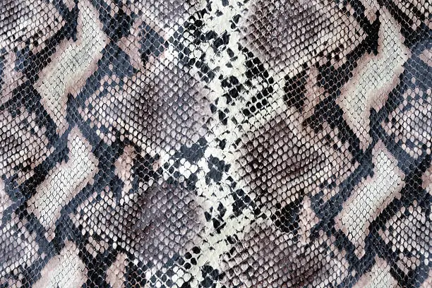 Close up of faux snakeskin.  See also