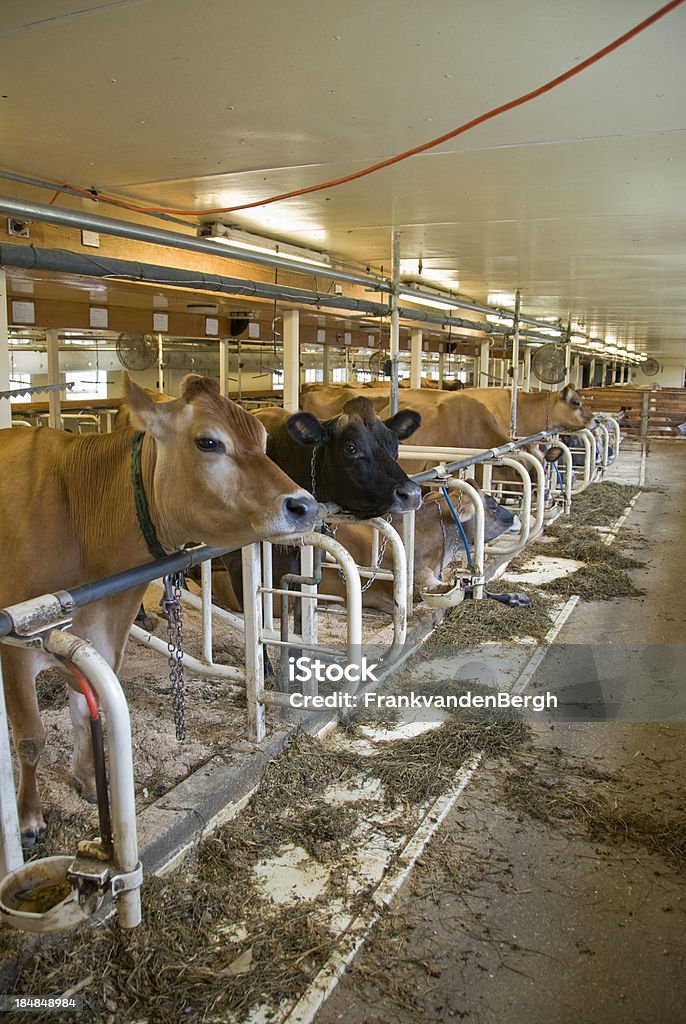 Cowshed - Lizenzfrei Scheune Stock-Foto