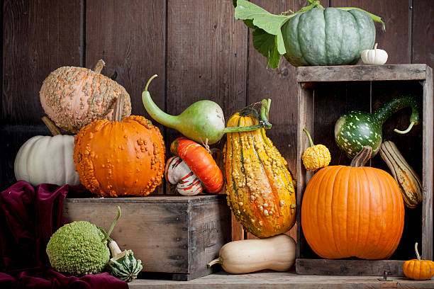 istock Assortment of gourds displayed on wood 184849327