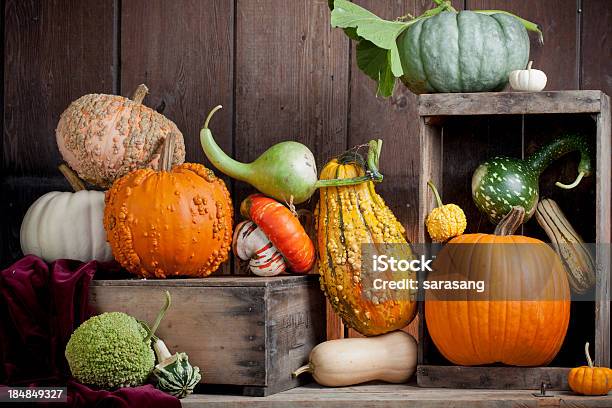 Assortment Of Gourds Displayed On Wood Stock Photo - Download Image Now - Autumn, Gourd, Horizontal