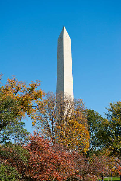 istock Washington monument at the mall, in DC with colorful tree 184849758